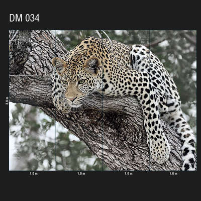 Loymina Illusion DM 034