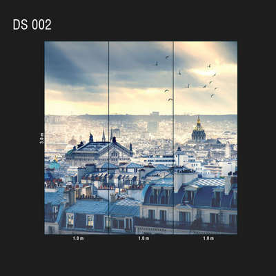 Loymina Illusion DS 002