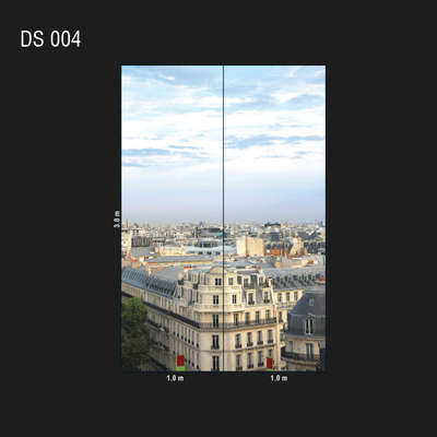 Loymina Illusion DS 004
