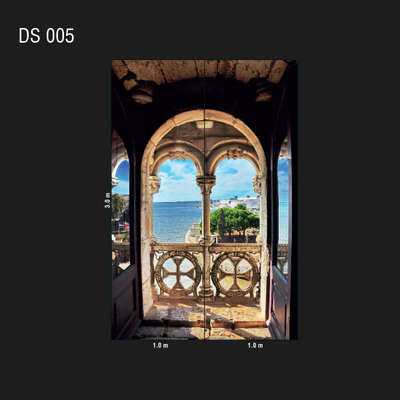 Loymina Illusion DS 005