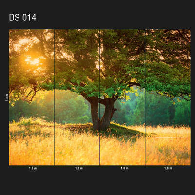 Loymina Illusion DS 014