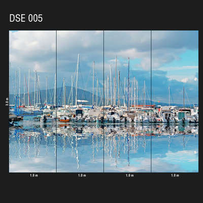Loymina Illusion DSE 005