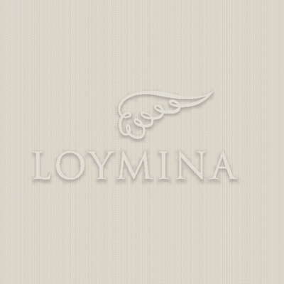 Loymina Jetset JET2 002