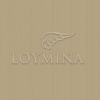 Loymina Jetset JET2 004/1