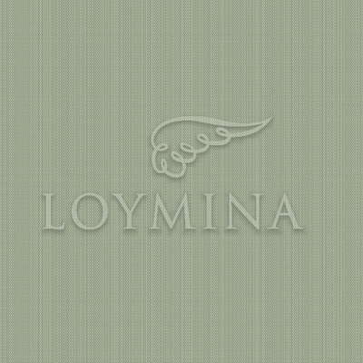 Loymina Jetset JET2 005