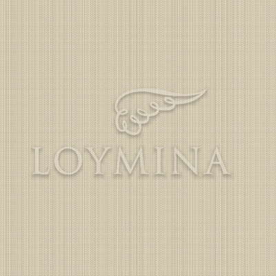 Loymina Jetset JET2 012/1