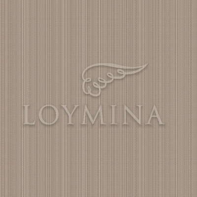 Loymina Jetset JET2 012