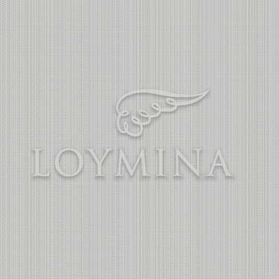 Loymina Jetset JET2 013