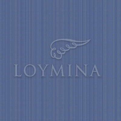 Loymina Jetset JET2 018