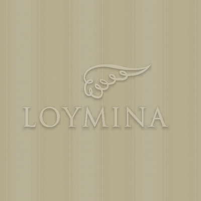 Loymina Jetset JET4 012/1