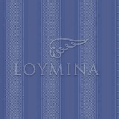 Loymina Jetset JET4 018