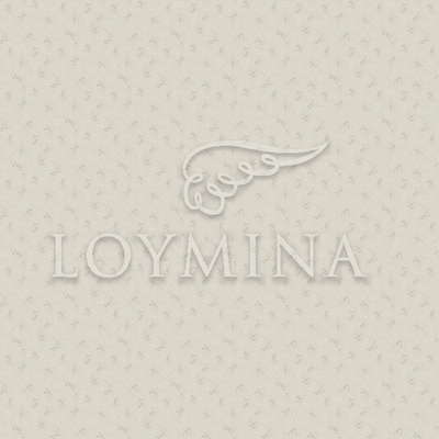 Loymina Jetset JET6 002