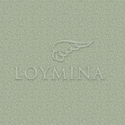 Loymina Jetset JET6 005
