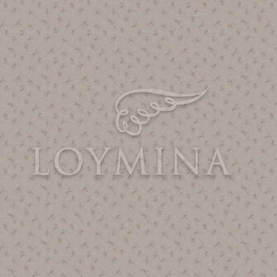 Loymina Jetset JET6 012