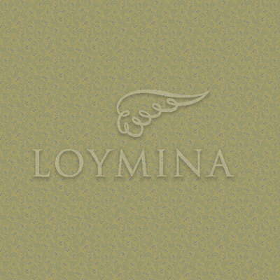 Loymina Jetset JET6 018