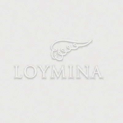 Loymina Jetset JET7 002/2