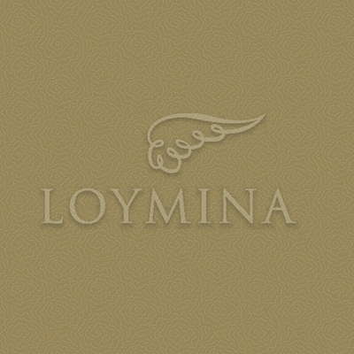 Loymina Jetset JET7 004/1