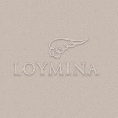Loymina Jetset JET7 012