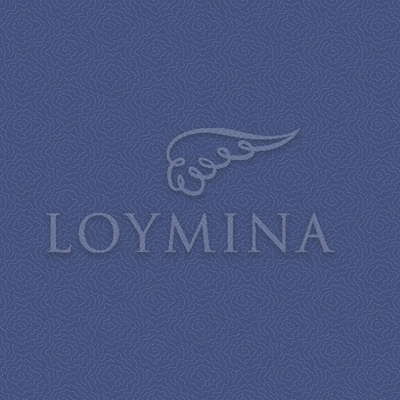 Loymina Jetset JET7 018