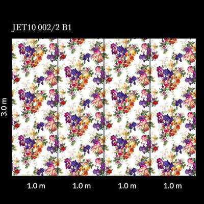 Loymina Jetset Jet10 002/2 B1