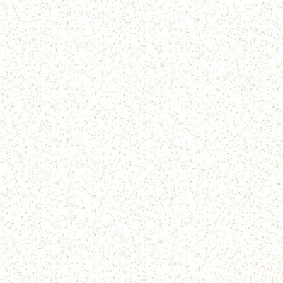 Loymina Liberty LIB8 001/1