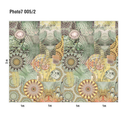 Loymina Phantom  Photo 7 005/2
