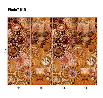 Loymina Phantom  Photo 7 010