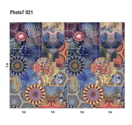 Loymina Phantom  Photo 7 021
