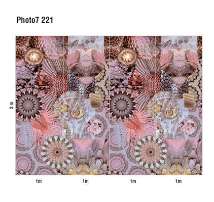 Loymina Phantom  Photo 7 221