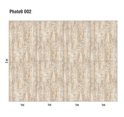 Loymina Phantom  Photo 9 002