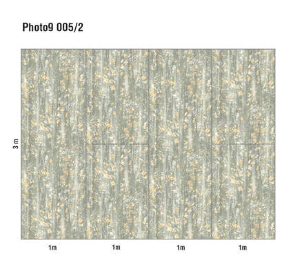 Loymina Phantom  Photo 9 005/2
