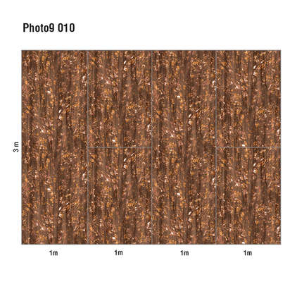 Loymina Phantom  Photo 9 010
