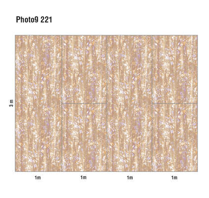 Loymina Phantom  Photo 9 221