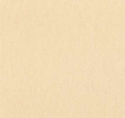 Loymina Satori III F 104