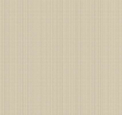 Loymina Satori III Jet2 012/1