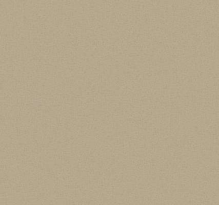 Loymina Satori III Ph10 005/1