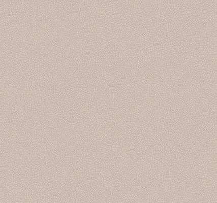 Loymina Satori III Ph11 221