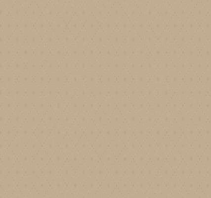 Loymina Satori III V8 012