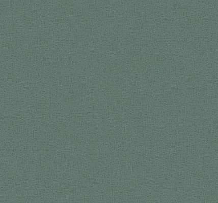 Loymina Satori IV Ph10 005/3