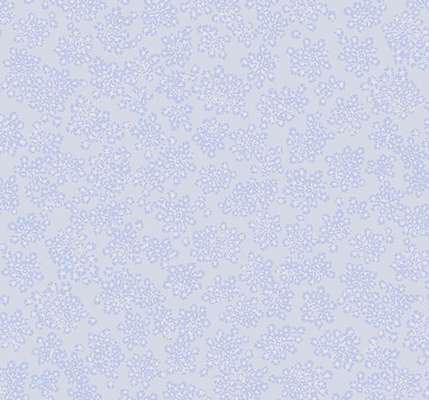 Loymina Sialia Q3 006