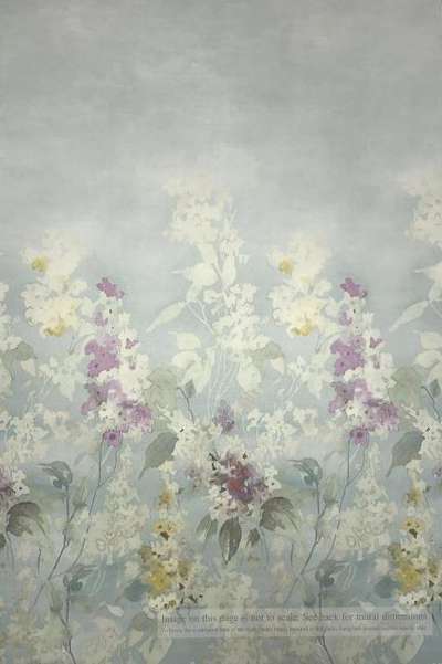 Mayflower  Romance MF81202M