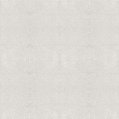 ProSpero Raw Elegance 343-347309