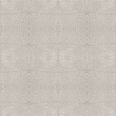 ProSpero Raw Elegance 343-347310