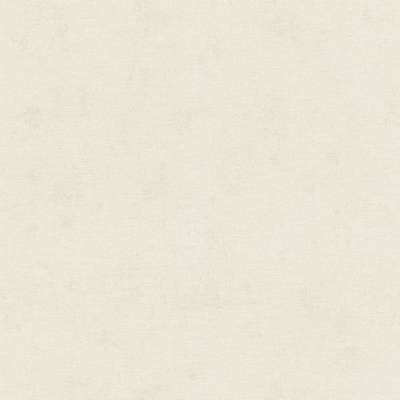 Rasch Natural Colors 408126