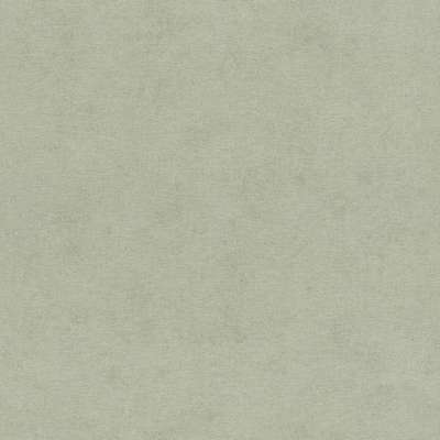 Rasch Natural Colors 408171