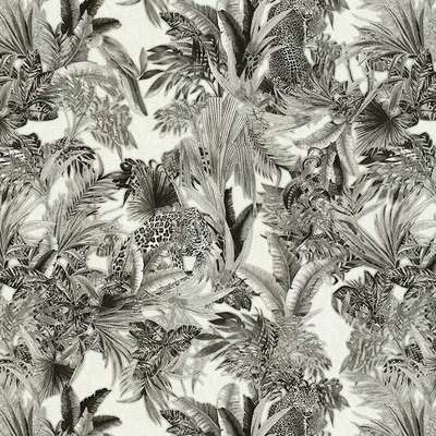 Roberto Cavalli Roberto Cavalli 7 18006