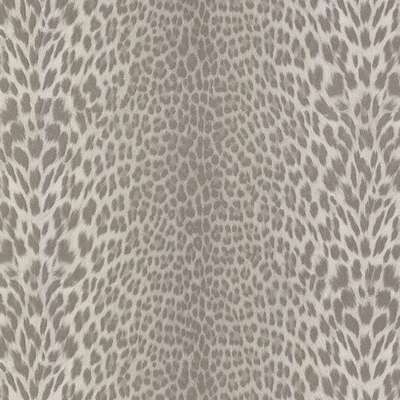 Roberto Cavalli Roberto Cavalli 7 18034