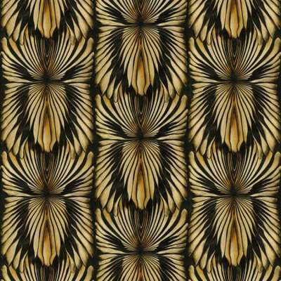 Roberto Cavalli Roberto Cavalli 8 RC19001