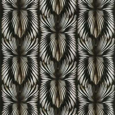 Roberto Cavalli Roberto Cavalli 8 RC19002