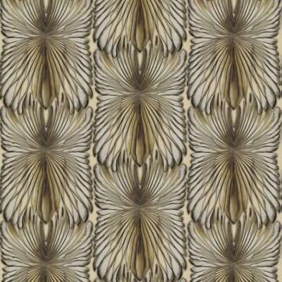 Roberto Cavalli Roberto Cavalli 8 RC19004